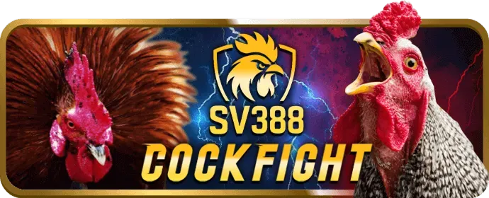 Các loại game nổ hũ đa dạng với đồ họa sống động tại go999